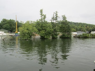 Foto 6x4 Vier kleine baumbewachsene Inseln in der Themse bei Henley Henley - ab 2017