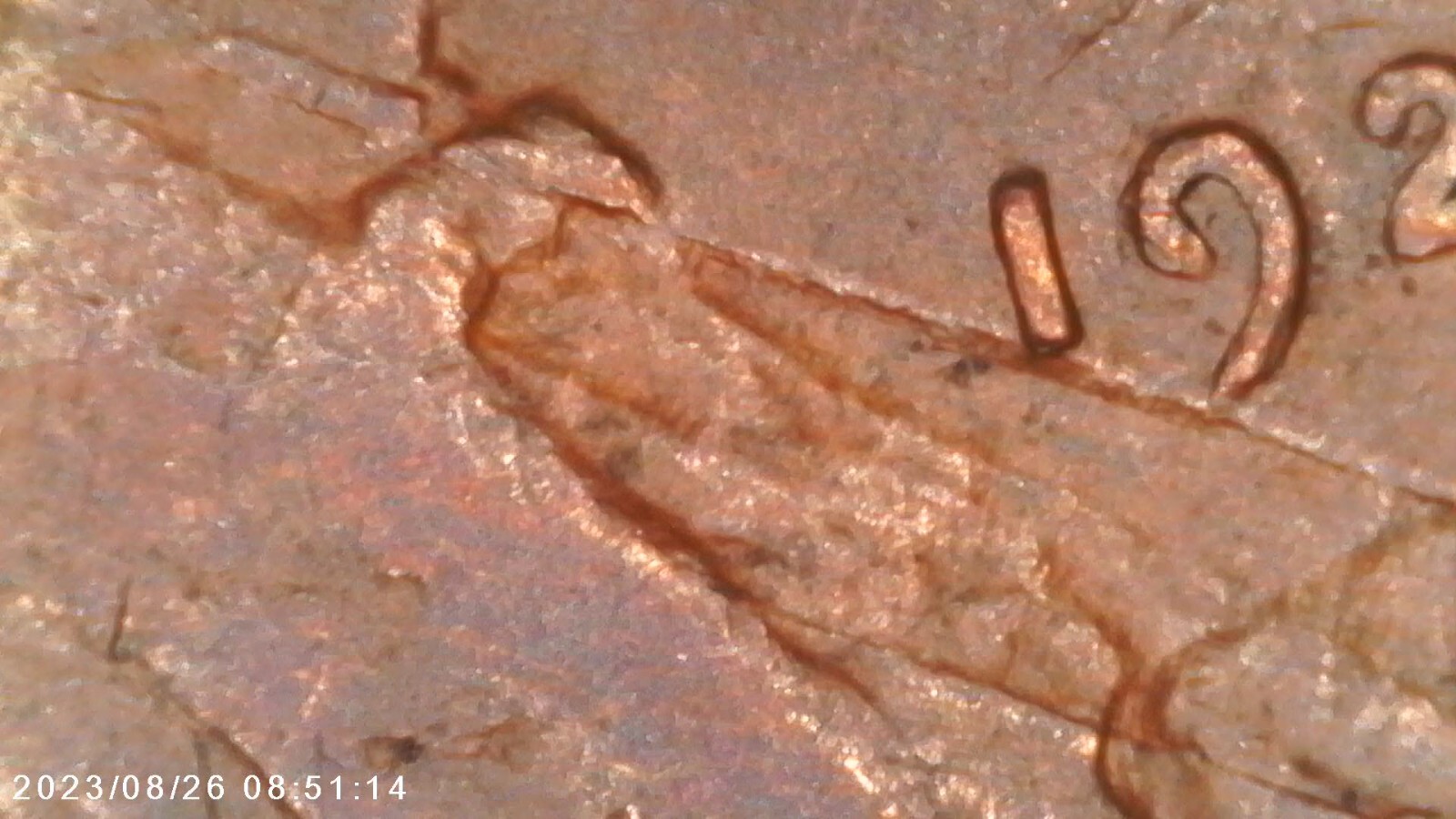 Picture 5 of 6