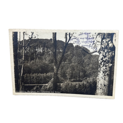 Ansichtskarte Postkart Bad Freienwalde Schloßberg Burgwall Teufelssee Gl. 1923