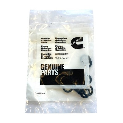 Cummins 3818885 O-Ring Seal for EPA98 8.3 liter ISC/ISL Engines, Pack of 12