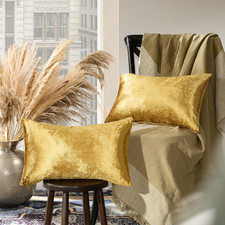 Gold Velvet Decorative Throw Pillow Covers for Sofa Bed 2 Pack Soft Cushion Cove