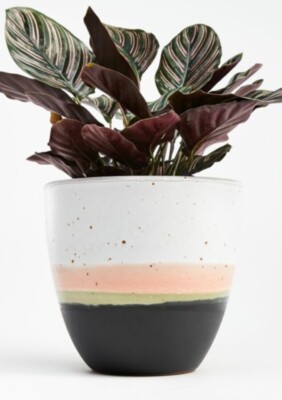 24 in plant pot Tremont Planter™ 20X24 2 Pack from Step2 main image 1