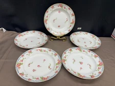 Jean Pouyat "POY22" Pink Roses ~ France ~ Set of 5 ~ Soup / Pasta Bowls ~ 9 1/8"