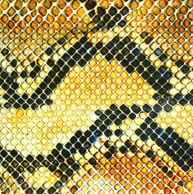 THE AMAZING SNAKEHEADS - AMPHETAMINE BALLADS [SLIPCASE] NEW CD