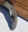 Bild 2 von 6