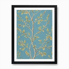 European Larch tree Vintage Botanic Framed Wall Art Poster Canvas
