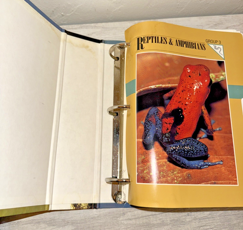 Wildlife Fact File - Picture 7 of 16