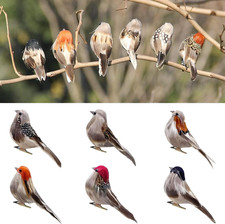 6pcs Artificial Birds Realistic 3.9-Inch Simulation Foam Feather Sparrow Bird Cl