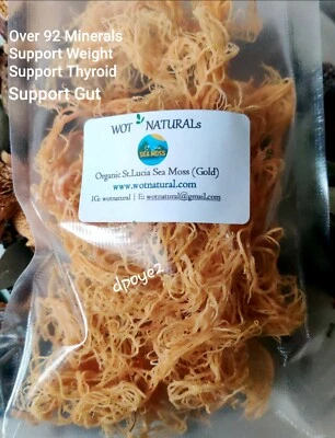 Raw Sea Moss Organic Gold DrSebi 1st Grade Irish Moss WildCraft St Lucia Cottoni