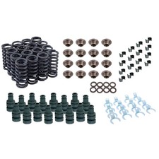 Single Valve Spring Rebuild Kit Fits 1932-53 Ford Flathead Single Valve Spring Rebuild Kit Fits 1932-53 Ford Flathead