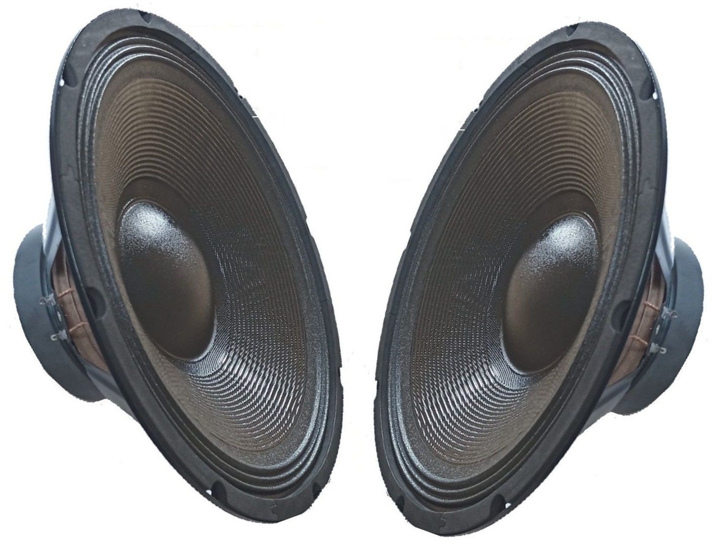 Offerta Coppia Woofer 12" 31cm 700W | Bassi Potenti per Casse DJ e PA