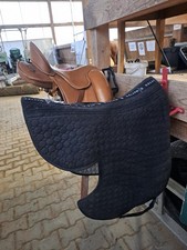 Mattes Satteldecke für Signum Omega Mercedes