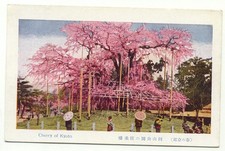Postal de Kioto Japón flores de cerezo