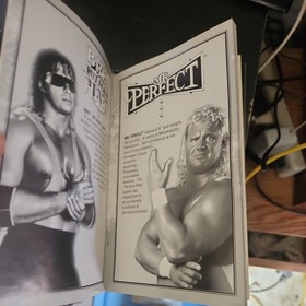 WWF Rage in the Cage (Sega CD, 1993) complete in box