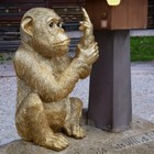 Bild 5 von 5