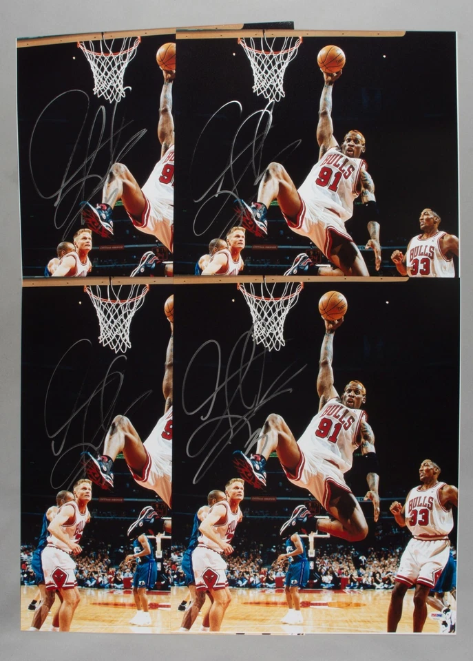 Dennis Rodman Signed Bulls Basketball 16x20 Photo PSA/DNA COA NBA Picture Auto'd - Image 4 of 4