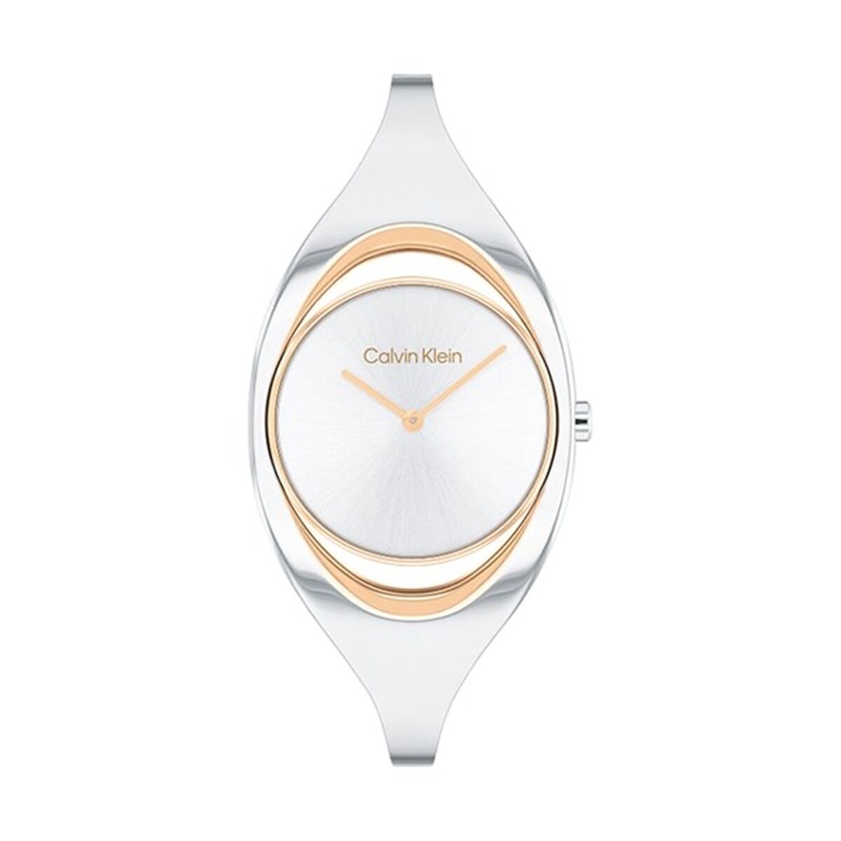 Orologio Donna Calvin Klein 25200393