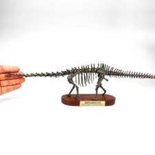 Diplodocus Dinosaur Skeleton Model Statue 3D Printed Model Collectible Display