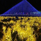 Picture 6 of 11