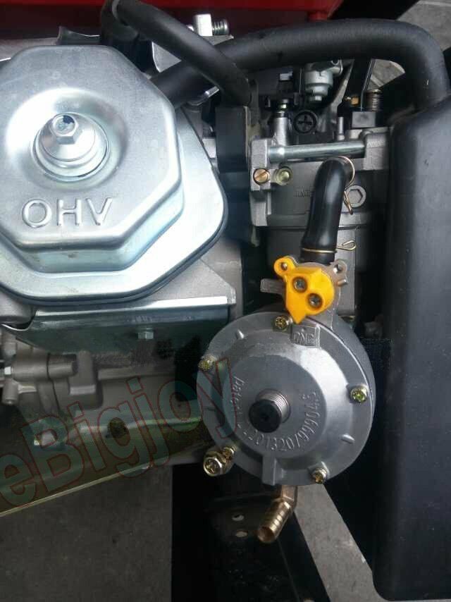 Methane CNG/Propane LPG Gas Conversion Kit For 5-8KW Petrol - Foto 6
