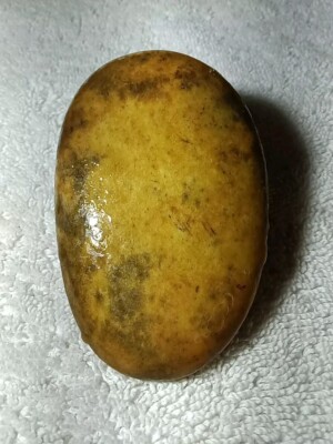 Natural River Flat Rock Stone Nature Art Decorative