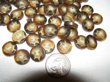 Bag of 100  Mocha Brown & Cream 1/2"  Buttons 