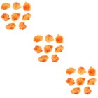 Bild 11 von 12