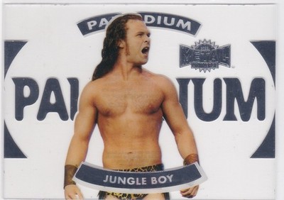 2022 UD Metal Universe AEW #P-22 JUNGLE BOY  Palladium SP  Acetate Insert