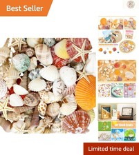 Elegant Mixed Sea Starfish  Seashells - Ideal for Home Decor  Parties