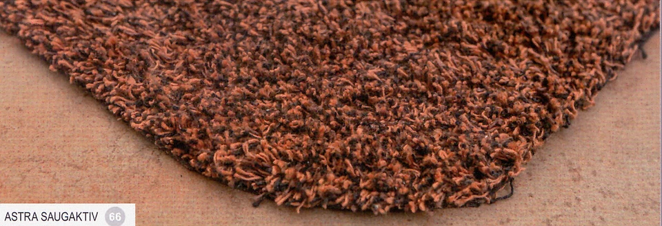 Fußmatte ASTRA SAUGAKTIV Schmutzfang matte waschbar braun Sauberlauf saugstark - Bild 3 von 3