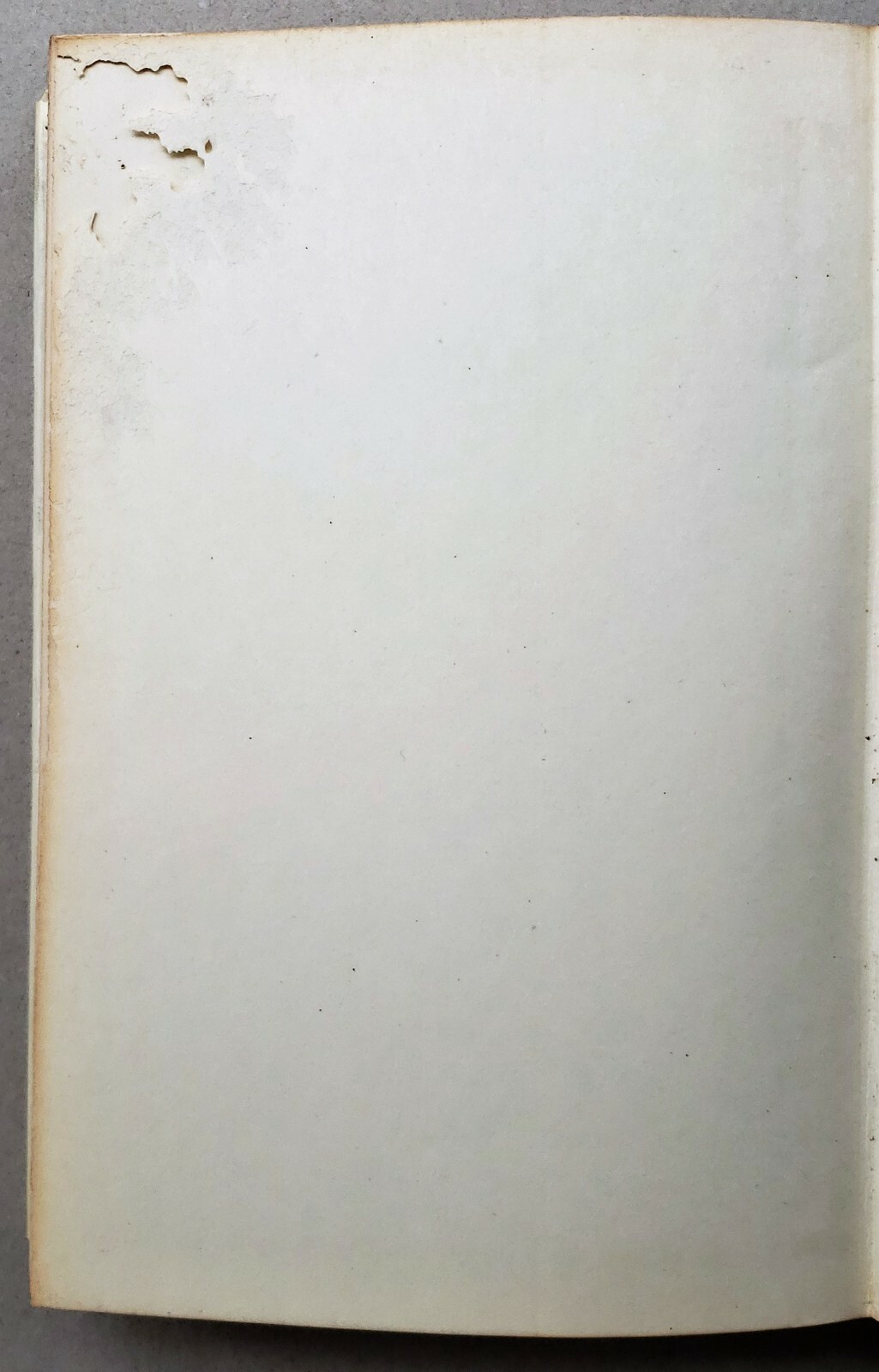 Picture 5 of 7