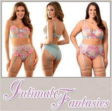 Pink Blue Bra Knickers Suspender Belt Lingerie Set Sexy Size 10 12 14 16 18 M XL