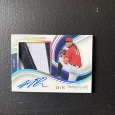 2023 Panini Immaculate Premium /25 Wilmer Flores #PPA-WF Patch Auto