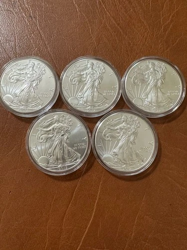 Lot 5: 2012 - 1 oz American Silver Eagle .999 Fine Silver BR UNC $12 Ship w/Sign