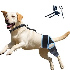 Dog ACL Brace with 10 Upgraded Support Chains - Provides Extra Support for Hi...
