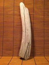 Beautiful 15 DRIFTWOOD Piece Art Terrarium Taxidermy Aquarium Reptile DECOR