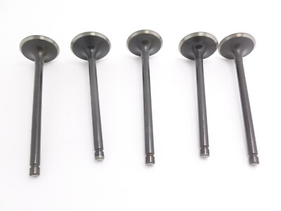 Intake Valve,Exhaust Valve Set ATV UTV750 HiSun,Massimo,Bennche Vector Tactic RK