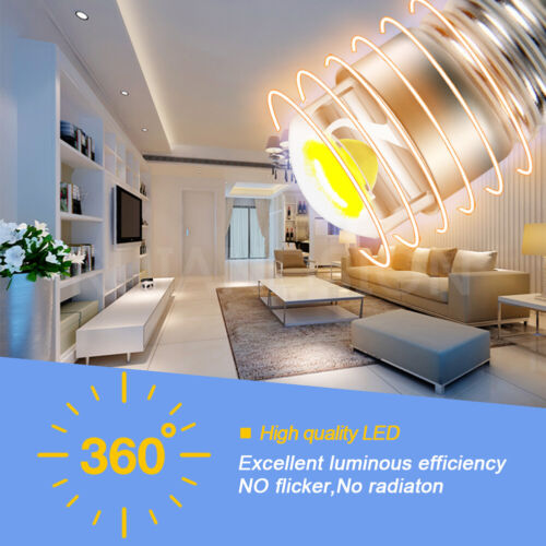 Ruiandion Vite E5 E5.5 LED Mini Lampadina Modello Treno Ferrovia 6V Bianco 6000K - Foto 5 di 8
