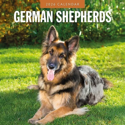 RED ROBIN PUBLISHING German Shepherds 2026 Square Wall Calendar
