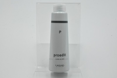 LebeL Professional Edit Care Works PPT 150ml Japan