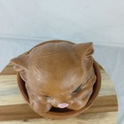 Picture 6 of 11