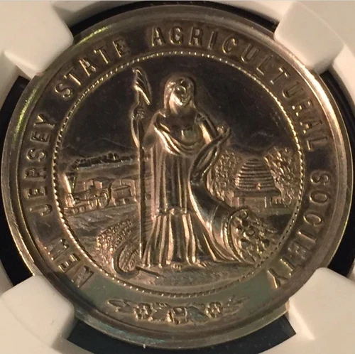 1877 New Jersey State Agricultural Society Silver Medal NGC MS62 Prooflike