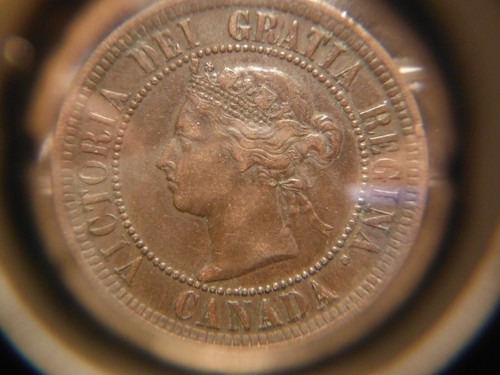 1886 Large One Cent - Obverse # 2 ***** VF - Picture 8 of 14