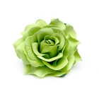 Bild 10 von 23
