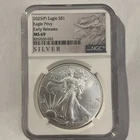 2025 American Silver Eagle With Eagle Privy MS 69
