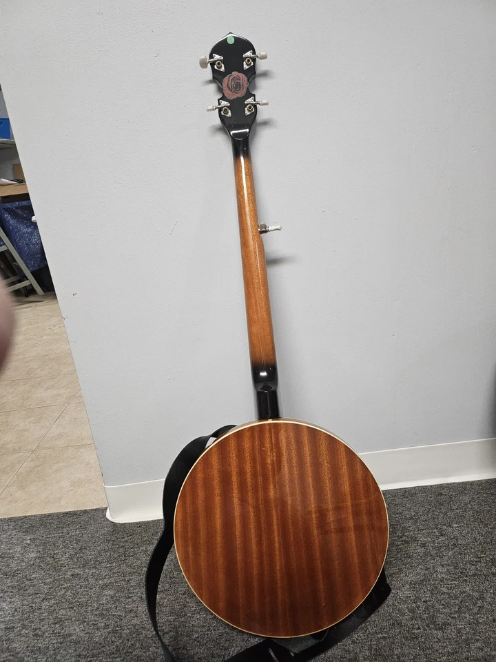 remo weather king banjo con cuerdas Foto 2 de 4