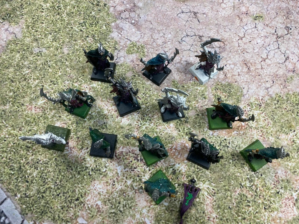 12 + 1 Dunkelelfen Korsaren Corsair Warhammer 9th Age of Sigmar Kings War - Bild 2 von 4