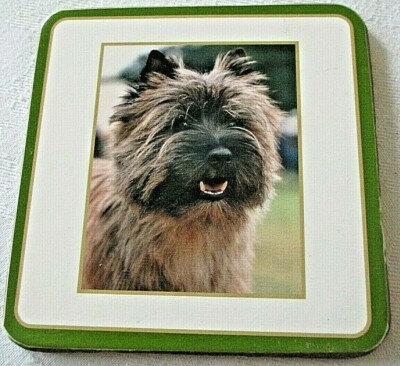 Ein Hund Getränk Untersetzer Matte Geschenk ~ unsicher von der Rasse