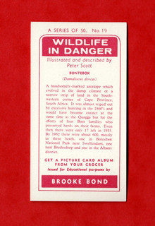 Brooke Bond SOUTHERN RHODESIA/EAST AFRICA WILDLIFE IN DANGER No. 19