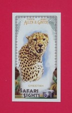 2020 Allen and Ginter Mini Safari Sights Cards - Pick Your Card